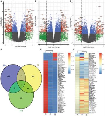 Systems biology approach discovers comorbidity interaction of Parkinson's disease with psychiatric disorders utilizing brain transcriptome